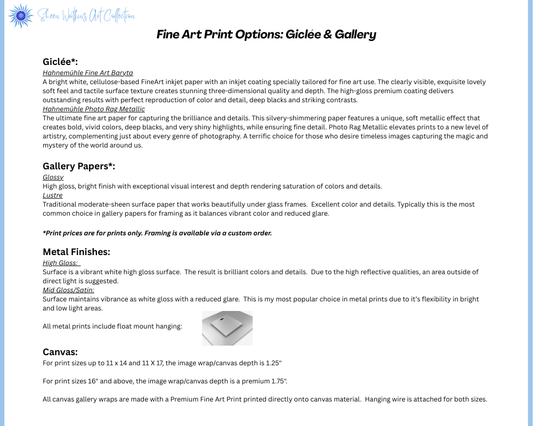 Bold Sunset at Frankfort Light