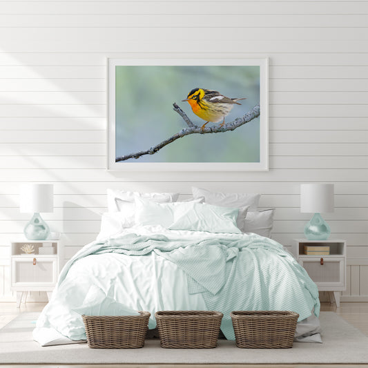 Framed picture of a blackburnian warbler songbird on a branch above a bed with light green bedding.