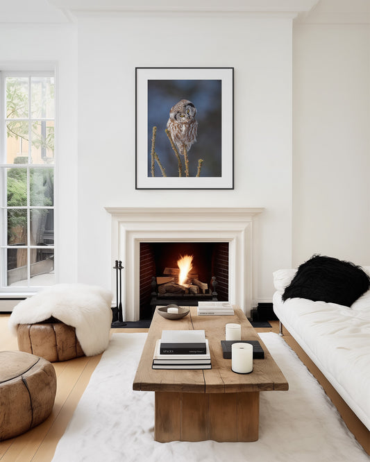 Boreal Owl framed and matted in a modern living room with a fireplace, wooden coffee table, and framed artwork.