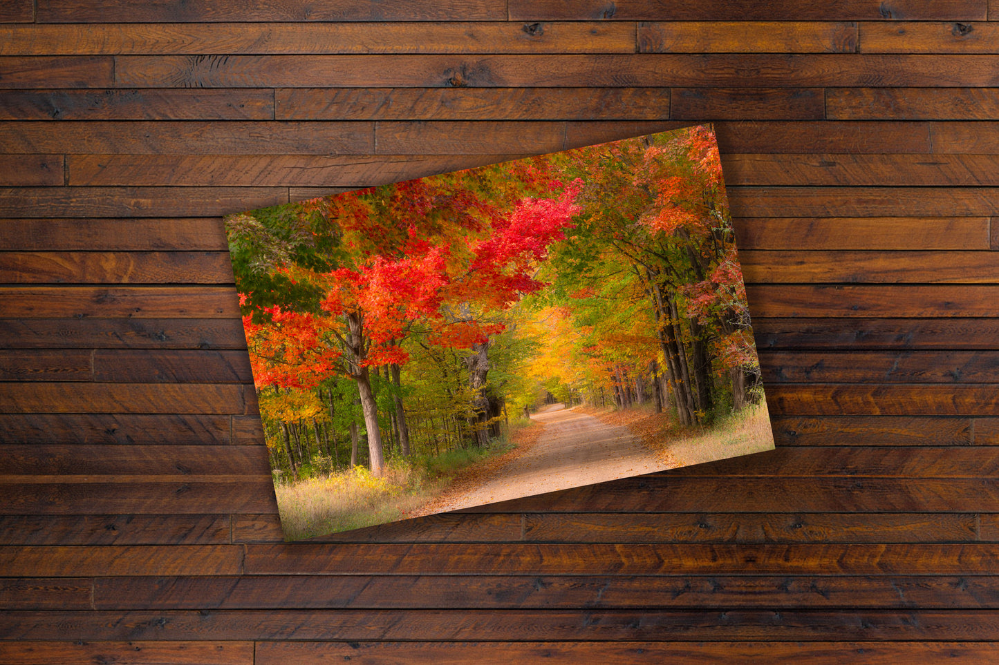 Where the Road Ends and Autumn Begins | Fine Art Print of Kehl Lake, MI | Limited Edition