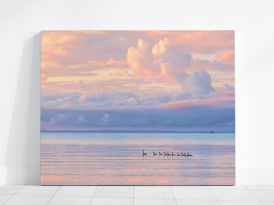 Pastel Sunrise Lake Michigan