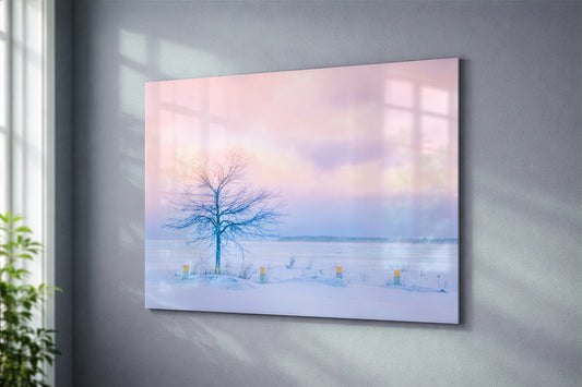 Pastel Winter in Sutton's Bay