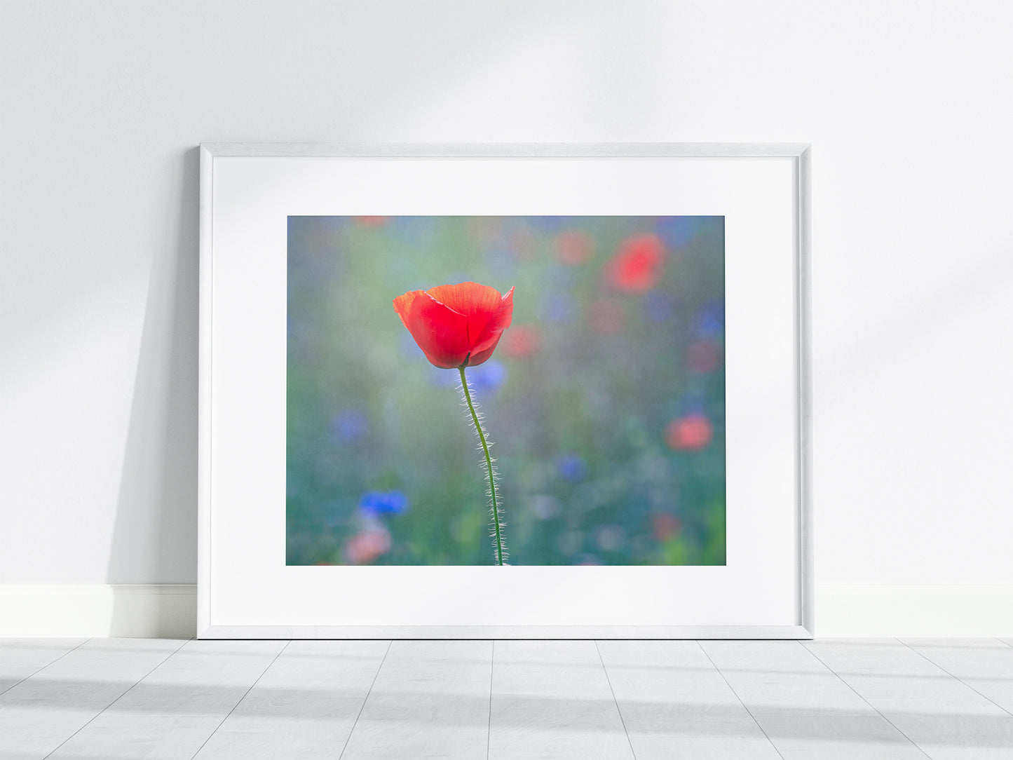 Framed photograph of a single red poppy flower with a blurred multicolored background.