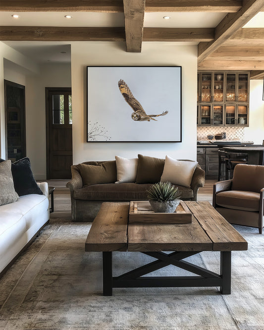 Short-eared owl in flight fine art print in modern living room with brown sofa, beige rug, and wooden coffee table.