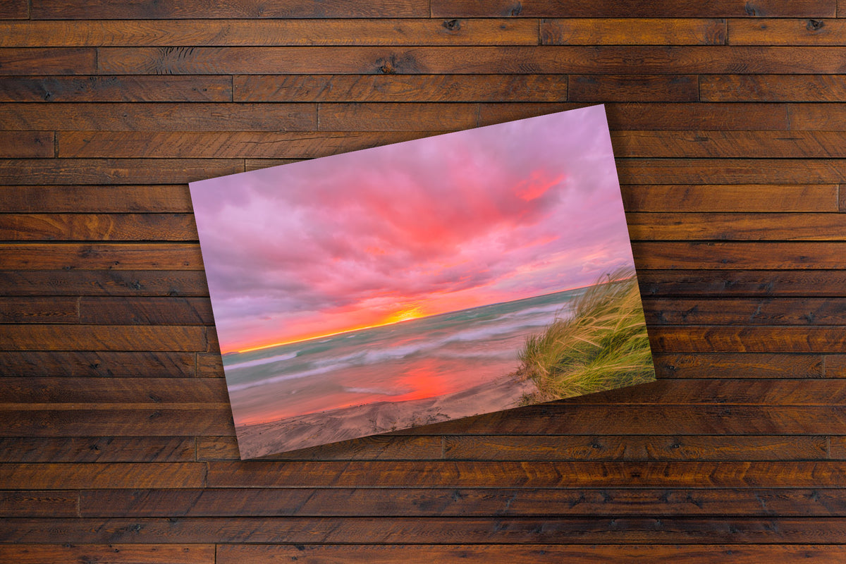 Gallery paper print of a sunset, with dune grasses and lake Michigan turquoise waters.