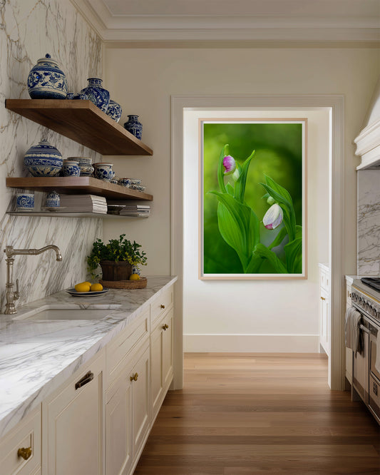 Lady Slipper Orchid Bud Fine Art Print | Michigan Botanical Wall Art