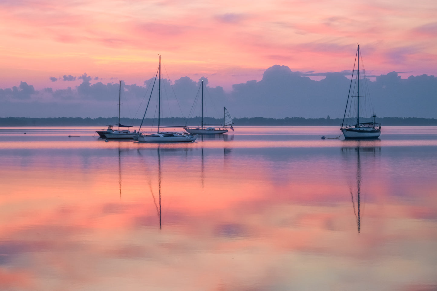 Blue Hour in the Harbor