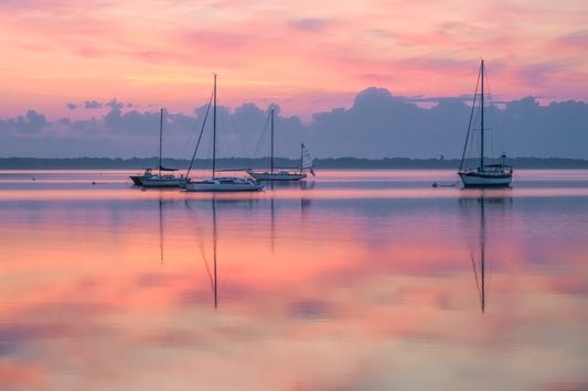 Blue Hour in the Harbor