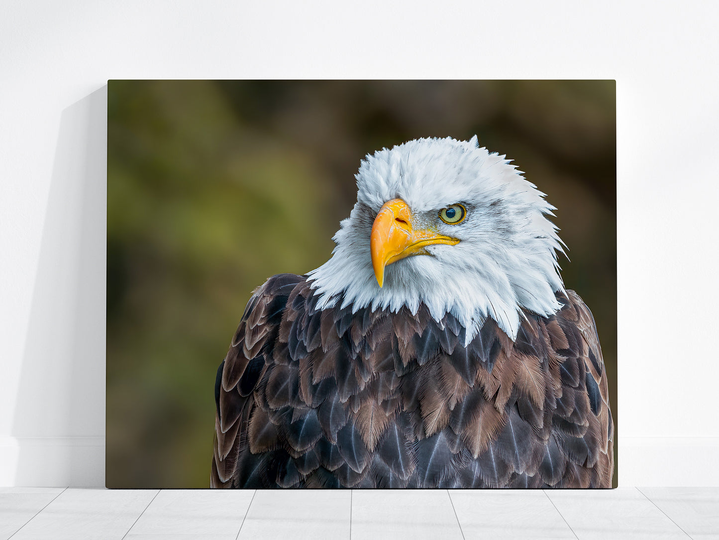 Majestic Bald Eagle Fine Art Print | Fierce Portrait Wall Art