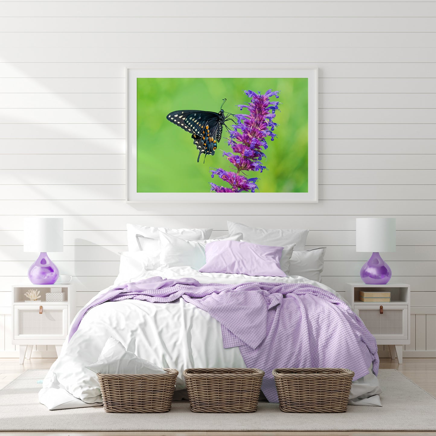 Colorful Black Swallowtail Butterfly in Garden Fine Art Print