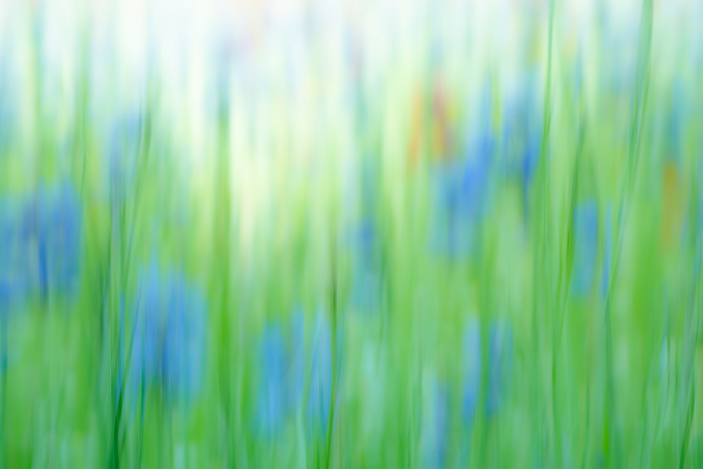 Blue Cornflower Abstract Fine Art Print | ICM Wall Art