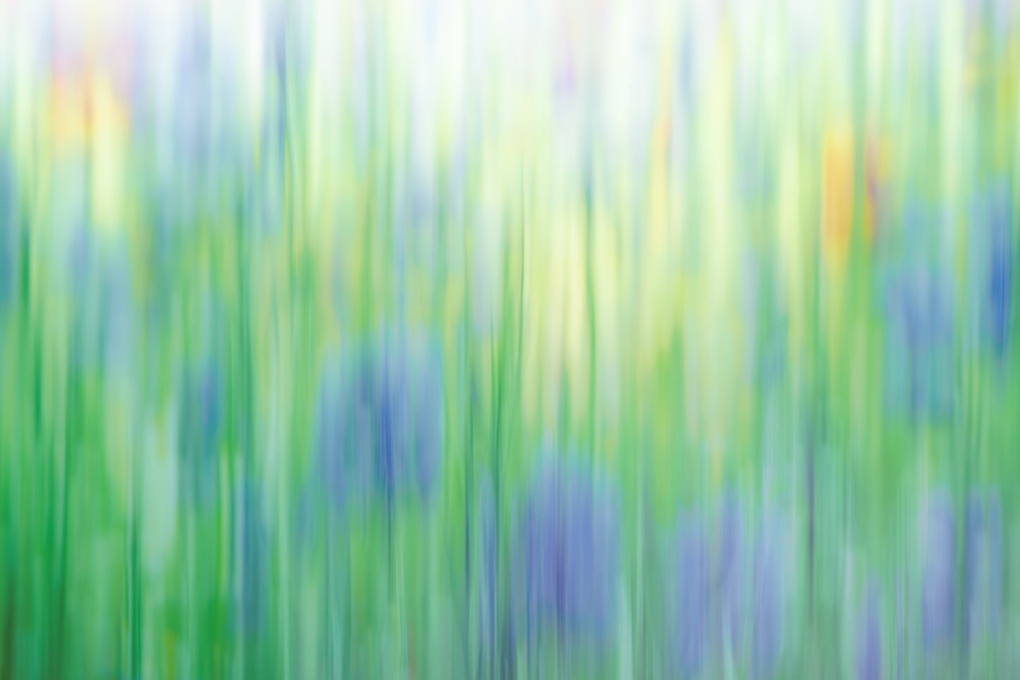 Lilac cornflowers captured with intentional camera movement 