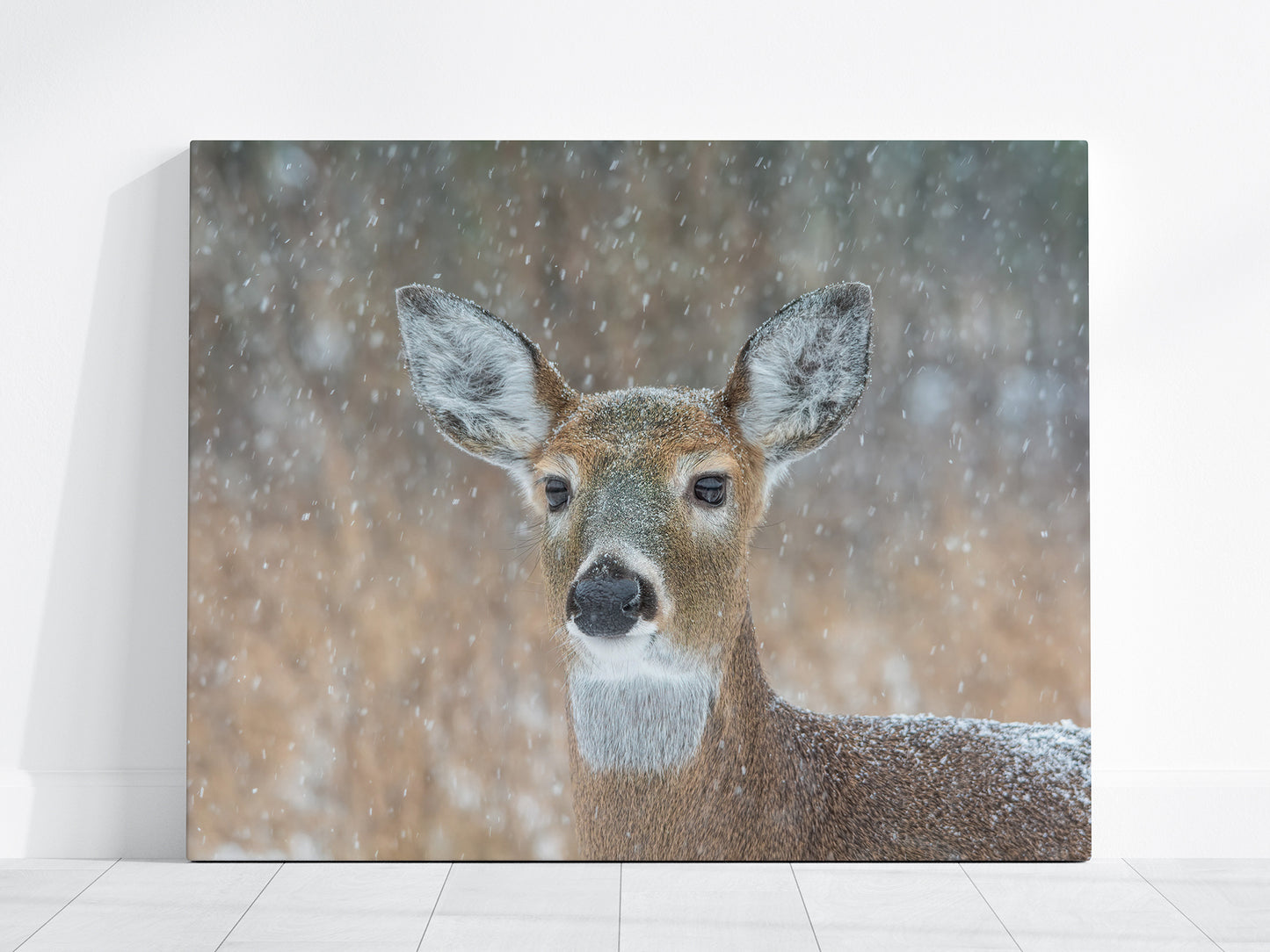 Whitetail Deer in Winter Woods Photography | Wildlife Wall Art