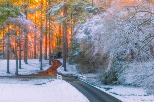 Winding road through a snowy forest with trees illuminated with a sunrise in south arkansas.