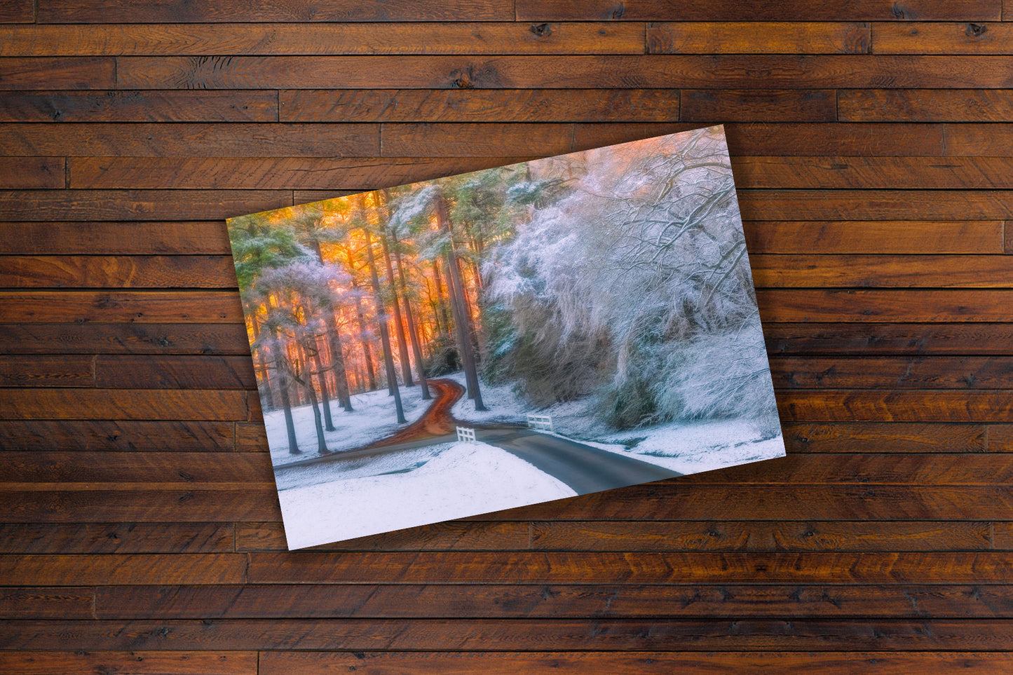 Gallery paper print of a forest scene with warm and cool winter colors on a wooden surface.