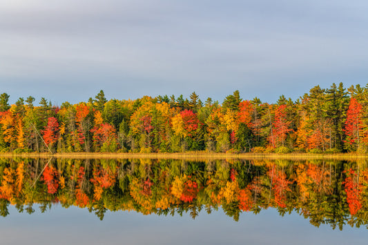 Fall Reflections