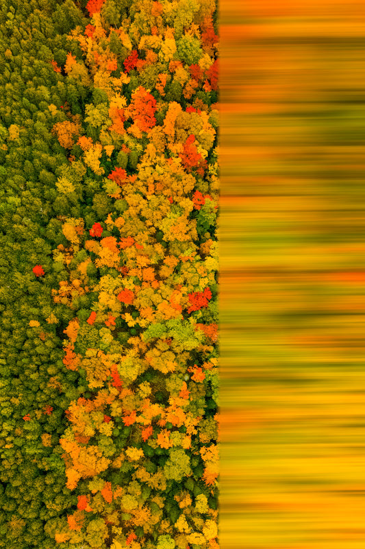 Aerial Abstract of Fall Foliage Keweenaw Peninsula, Brockway Mountain