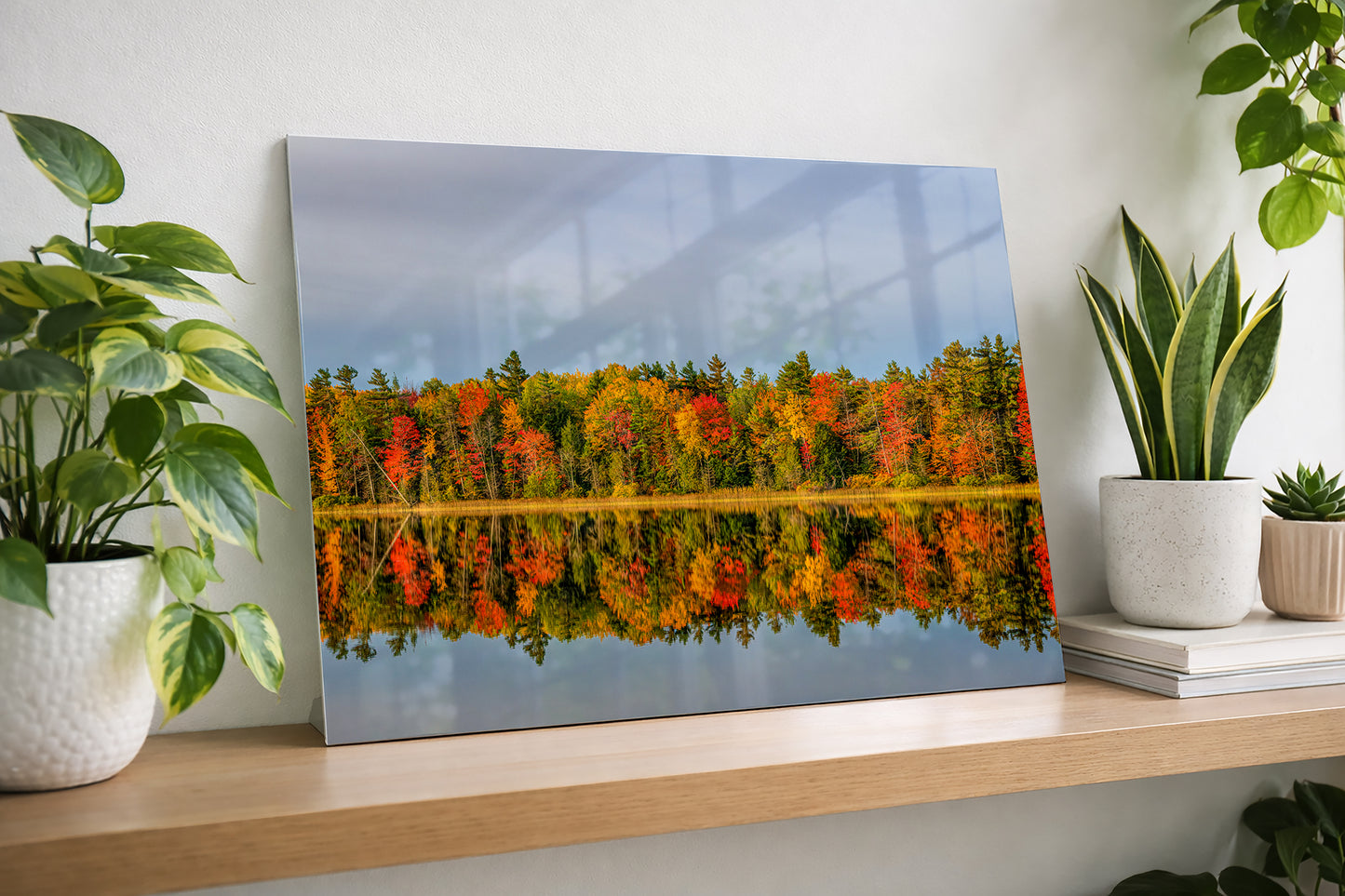 Metal print of Kehl  landscape with fall trees reflected in water, displayed on a shelf with plants.