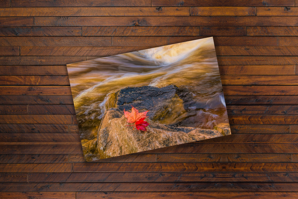 A rectangular art print or poster showing a red maple leaf resting on a rock in flowing water, placed on a dark brown wood plank surface.