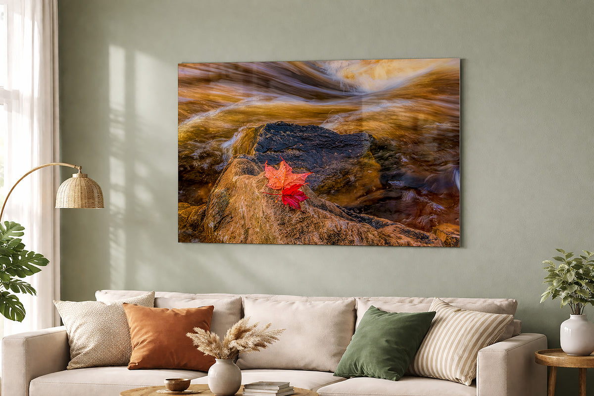 Red Maple Leaf against a Waterfall | Petoskey Michigan Fine Art Print