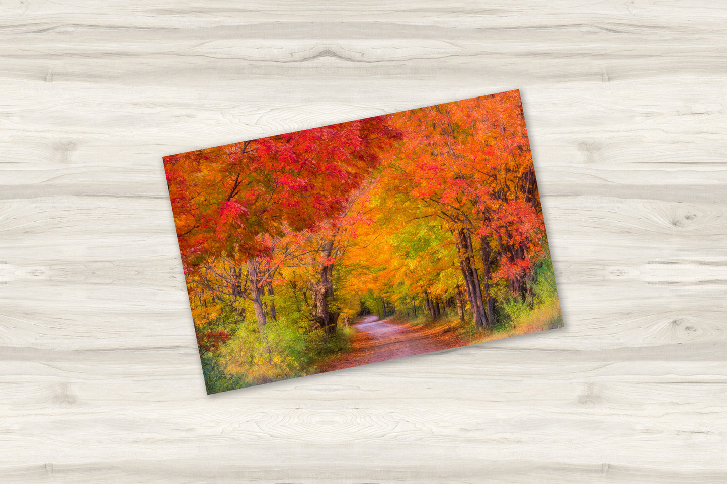 Leelanau Peninsula Autumn Country Road | Michigan Fall Colors Fine Art Print