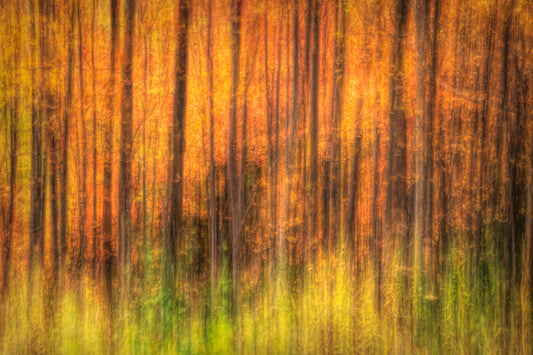 Orange, Green and Brown Abstract Fall Foliage Fine Art Print