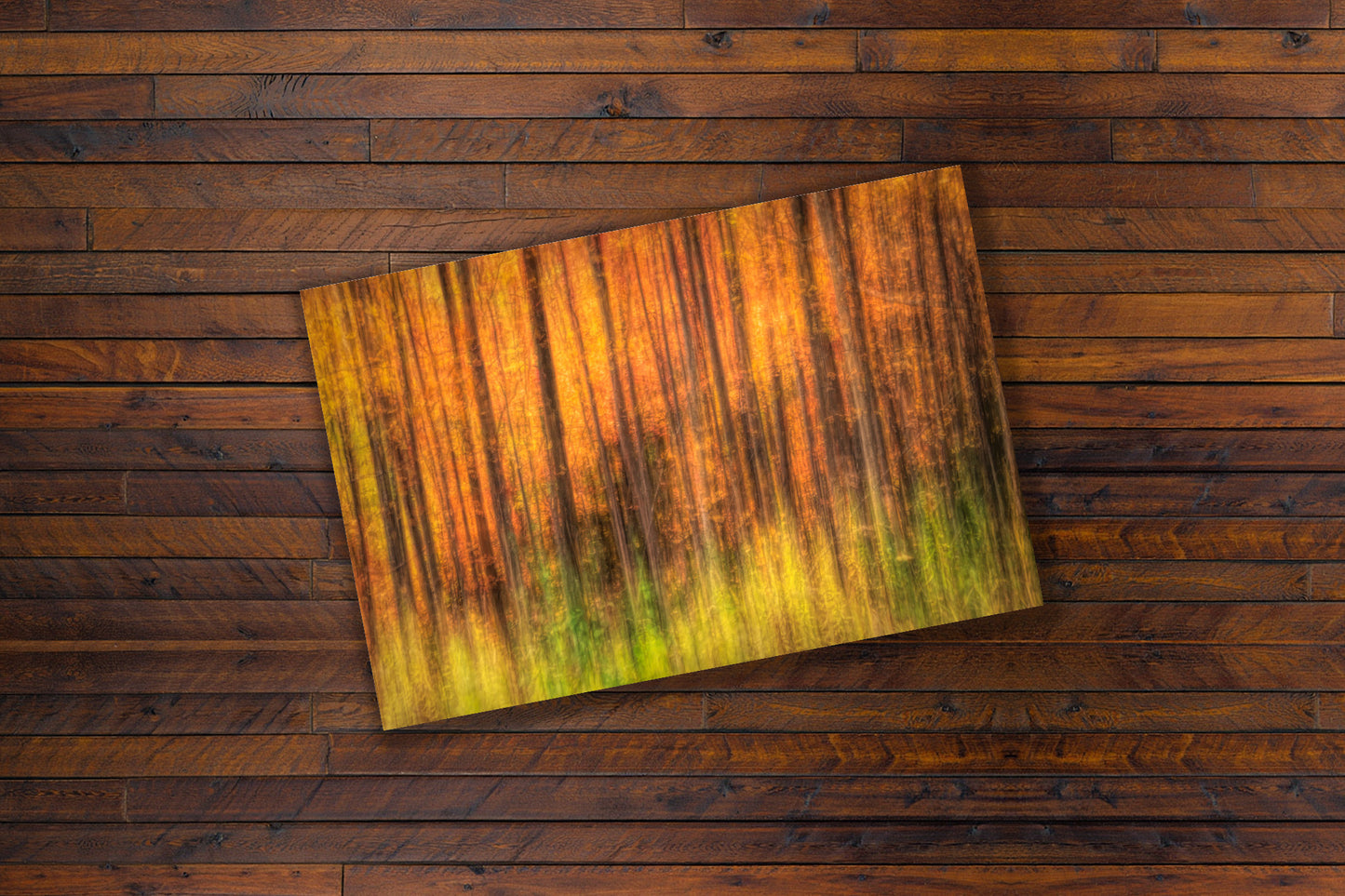 Fiery Fall Trees and Fall Foliage |Autumn Abstract Fine Art by Sheen Watkins