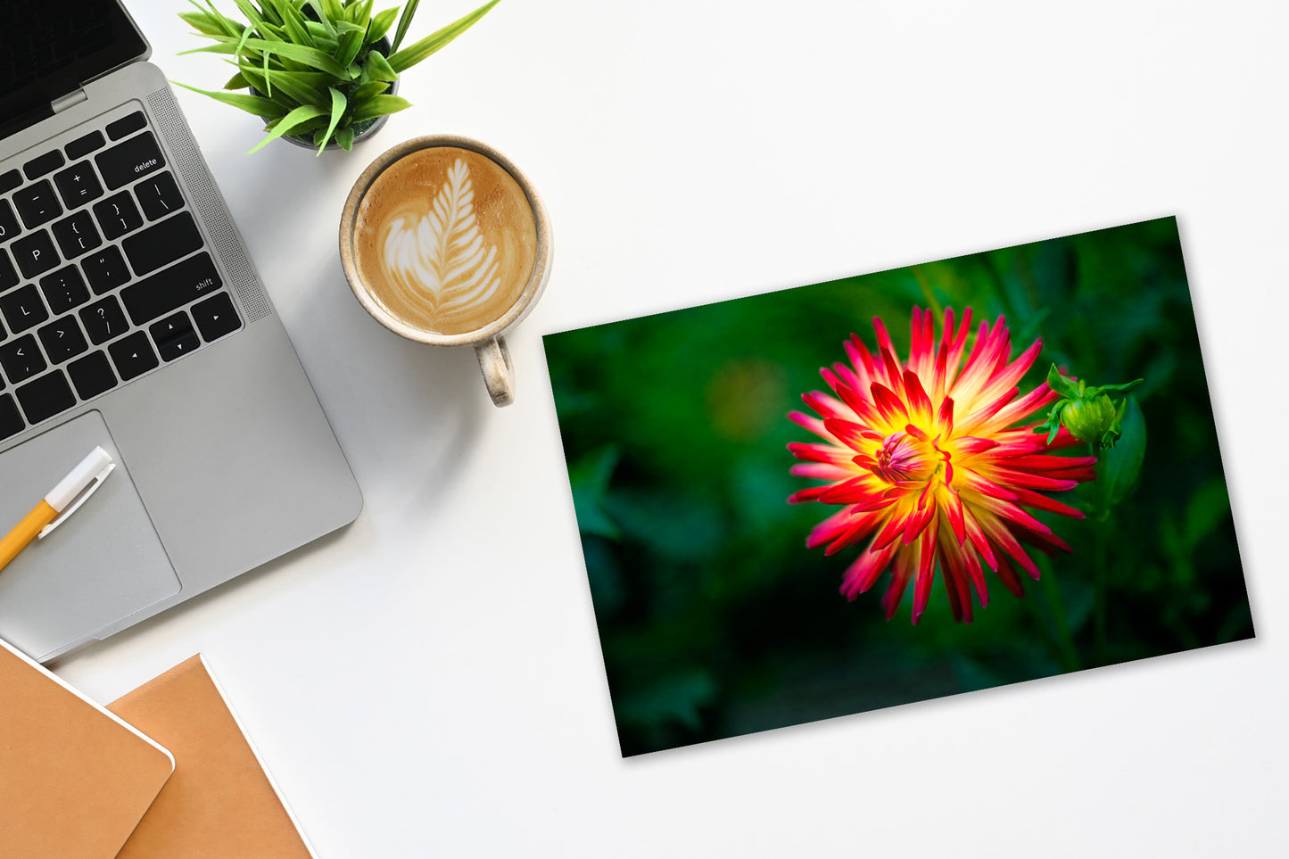 Red Dahlia Laced with Gold Flower Print | Fine Art Photography Wall Art