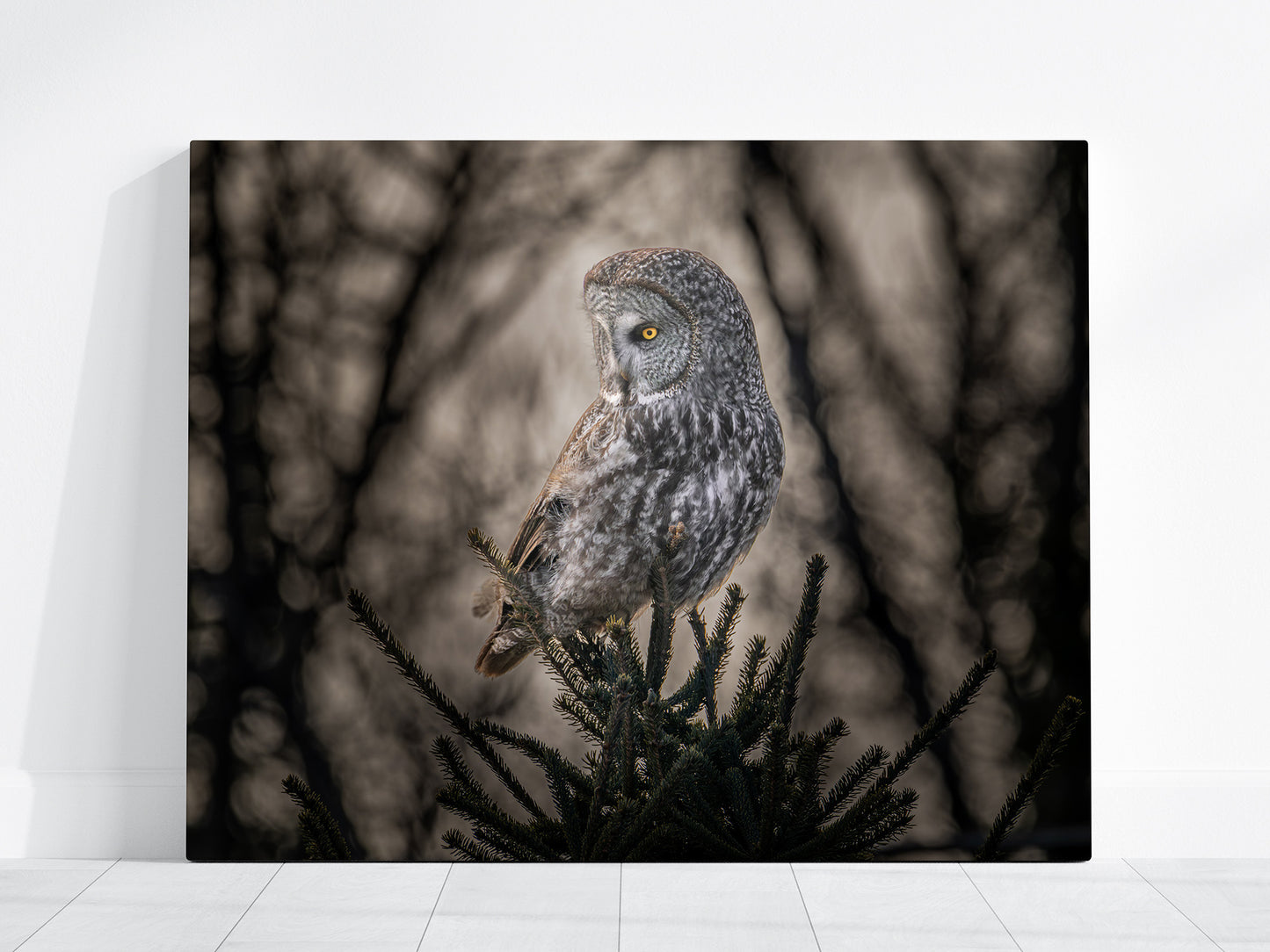 Great Gray Owl perched on a branch with a blurred natural background on Canvas