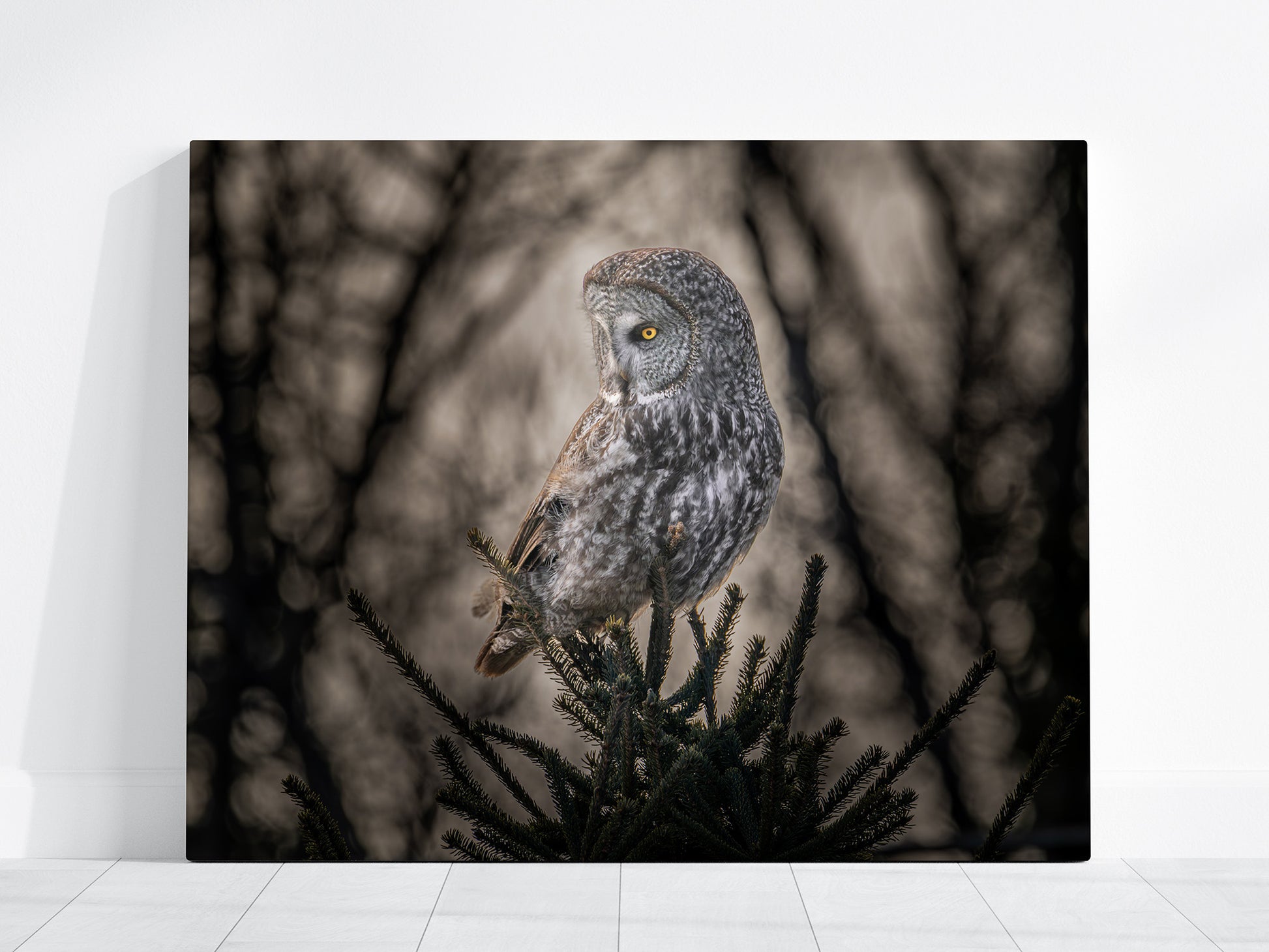 Great Gray Owl perched on a branch with a blurred natural background on Canvas