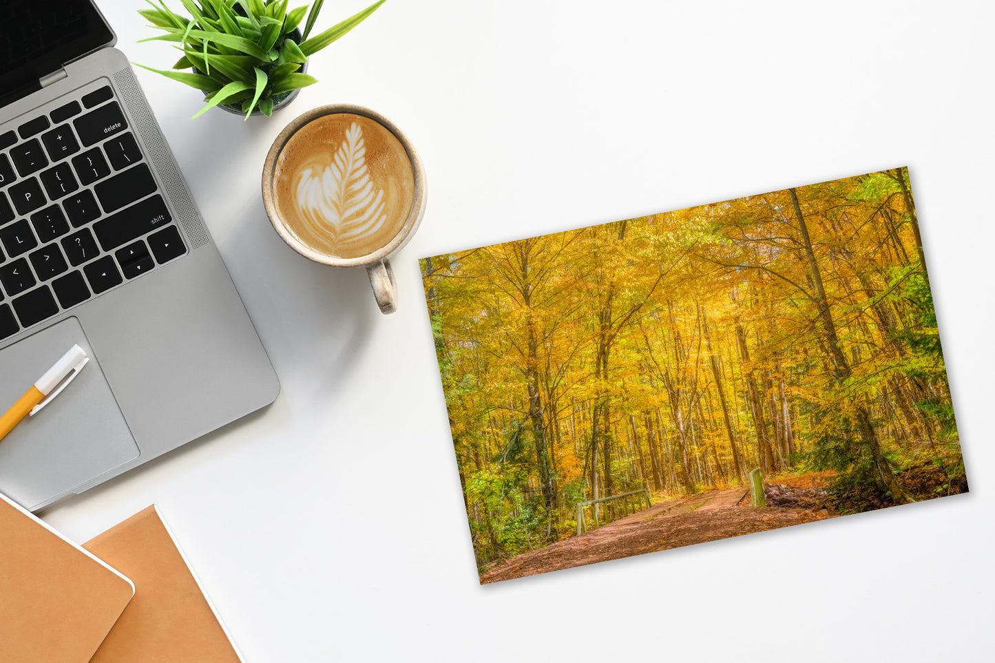 Porcupine Mountains Autumn Gold | Michigan Upper Peninsula Fall Fine Art Print