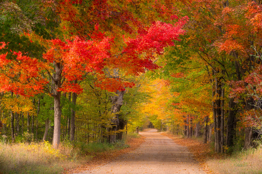 Where the Road Ends and Autumn Begins | Fine Art Print of Kehl Lake, MI