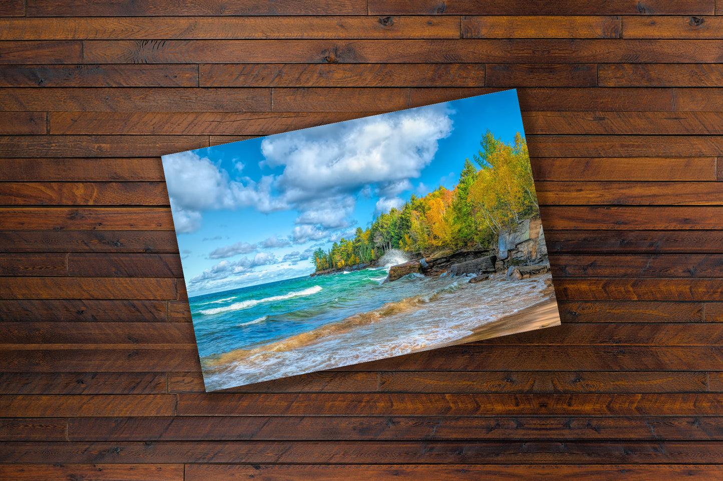 Lake Superior Fall Foliage | Gold & Green Autumn Shoreline Fine Art Print