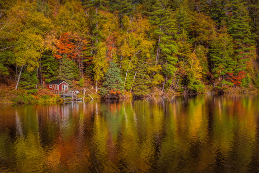 Red Cabin in the Woods