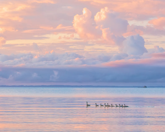 Pastel Sunrise Lake Michigan