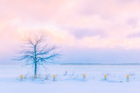 Pastel Winter in Sutton's Bay