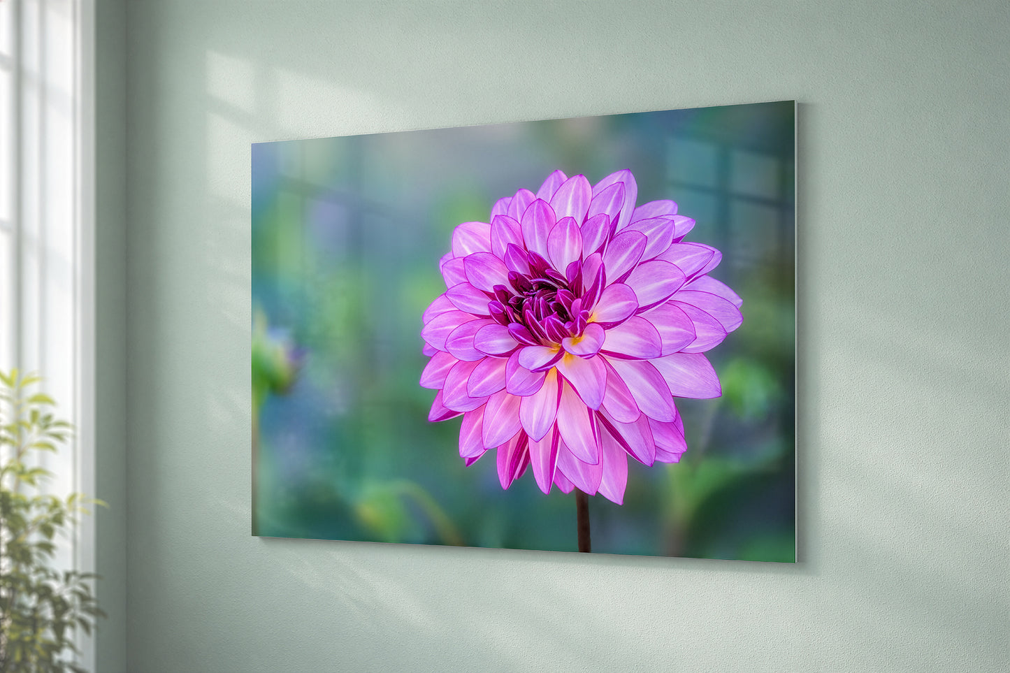 Purple Dahlia Flower | Botanical Giclée Fine Art Print, Canvas & Metal Decor