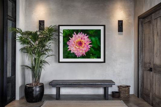 Framed picture of a pink dahlia flower with green background on a wall above a bench in a room with a plant and door.