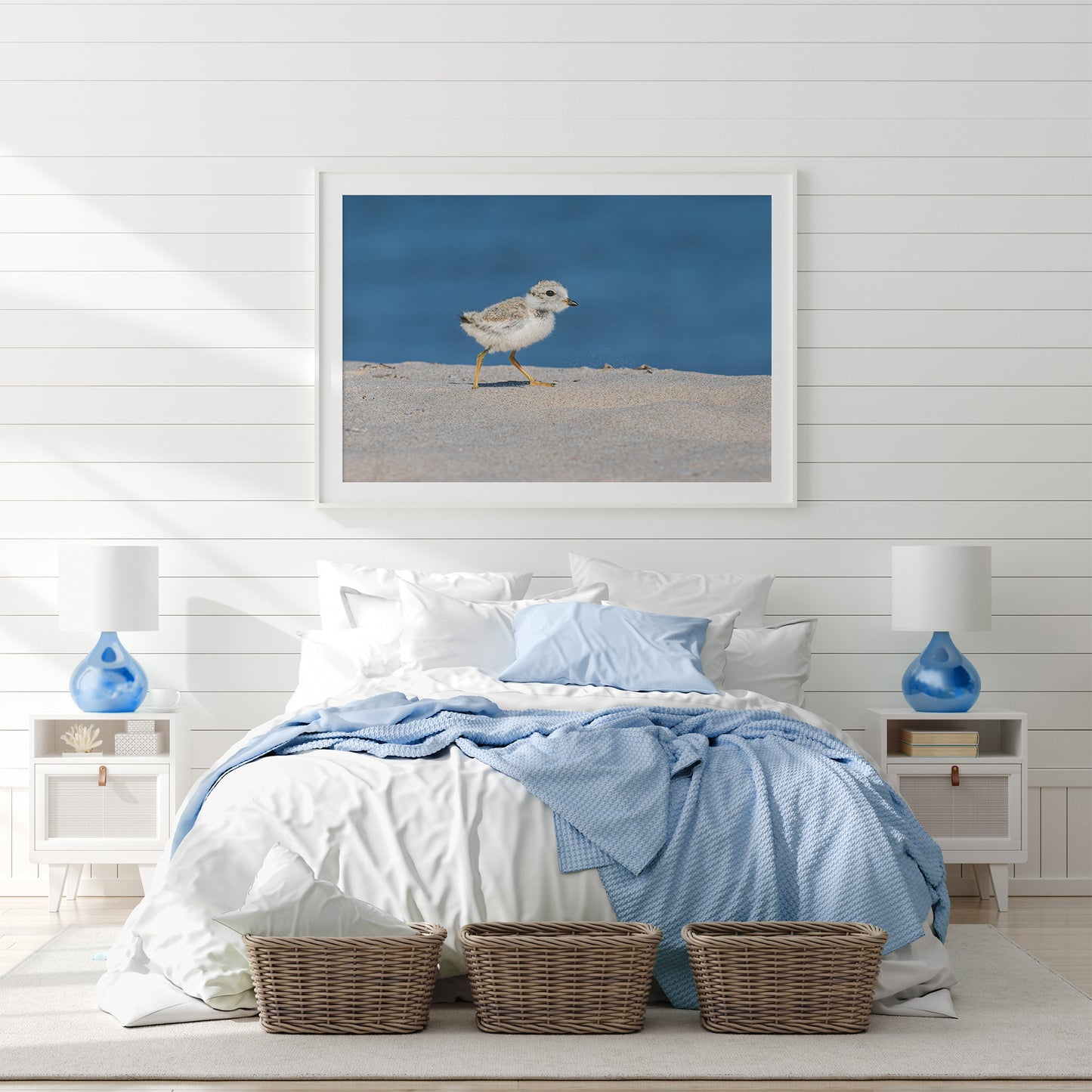 Endangered Great Lakes Piping Plover Chick Fine Art Print | Michigan Wildlife