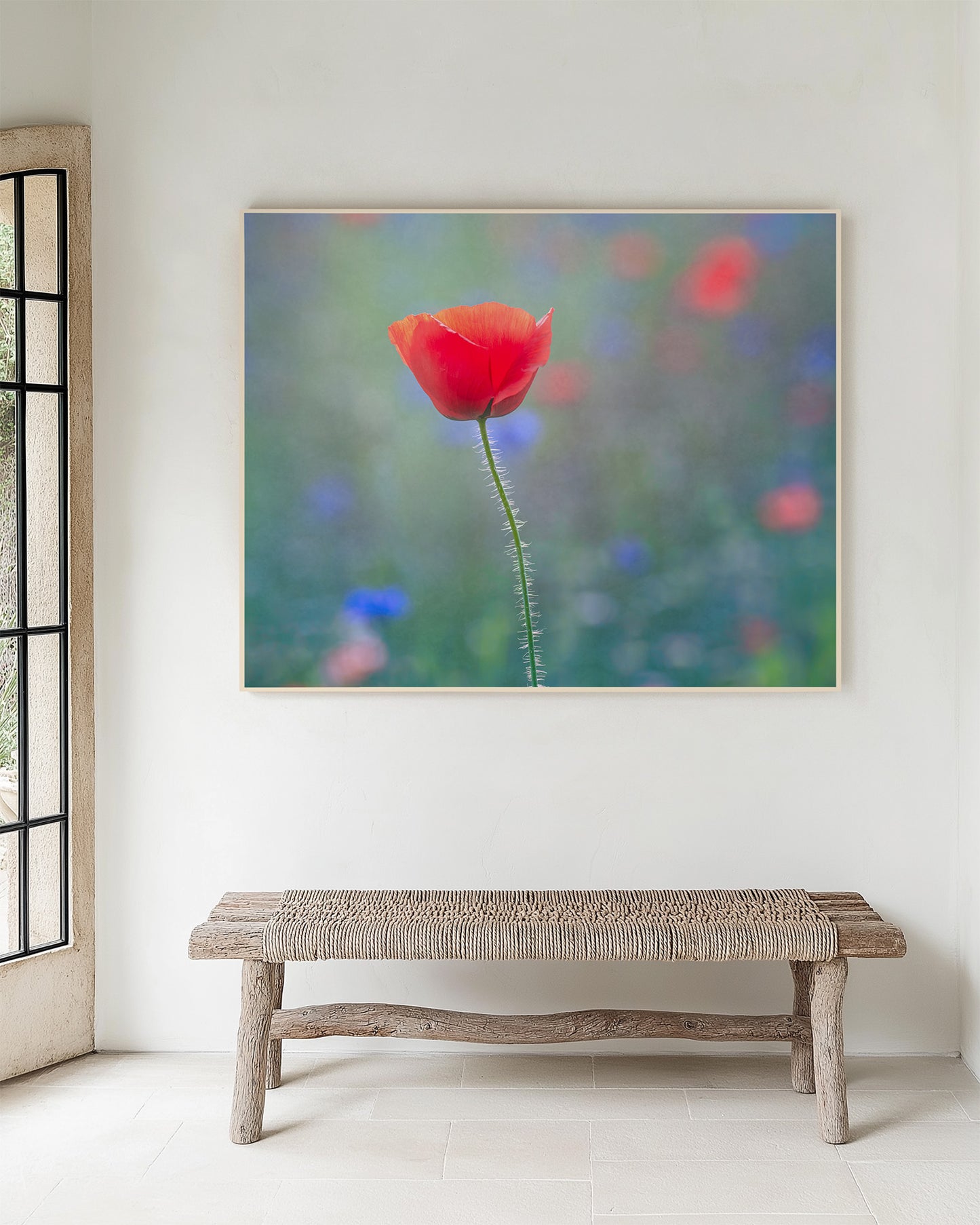 Framed artwork of a single red poppy flower with a blurred multicolored background on a white wall above a wooden bench.