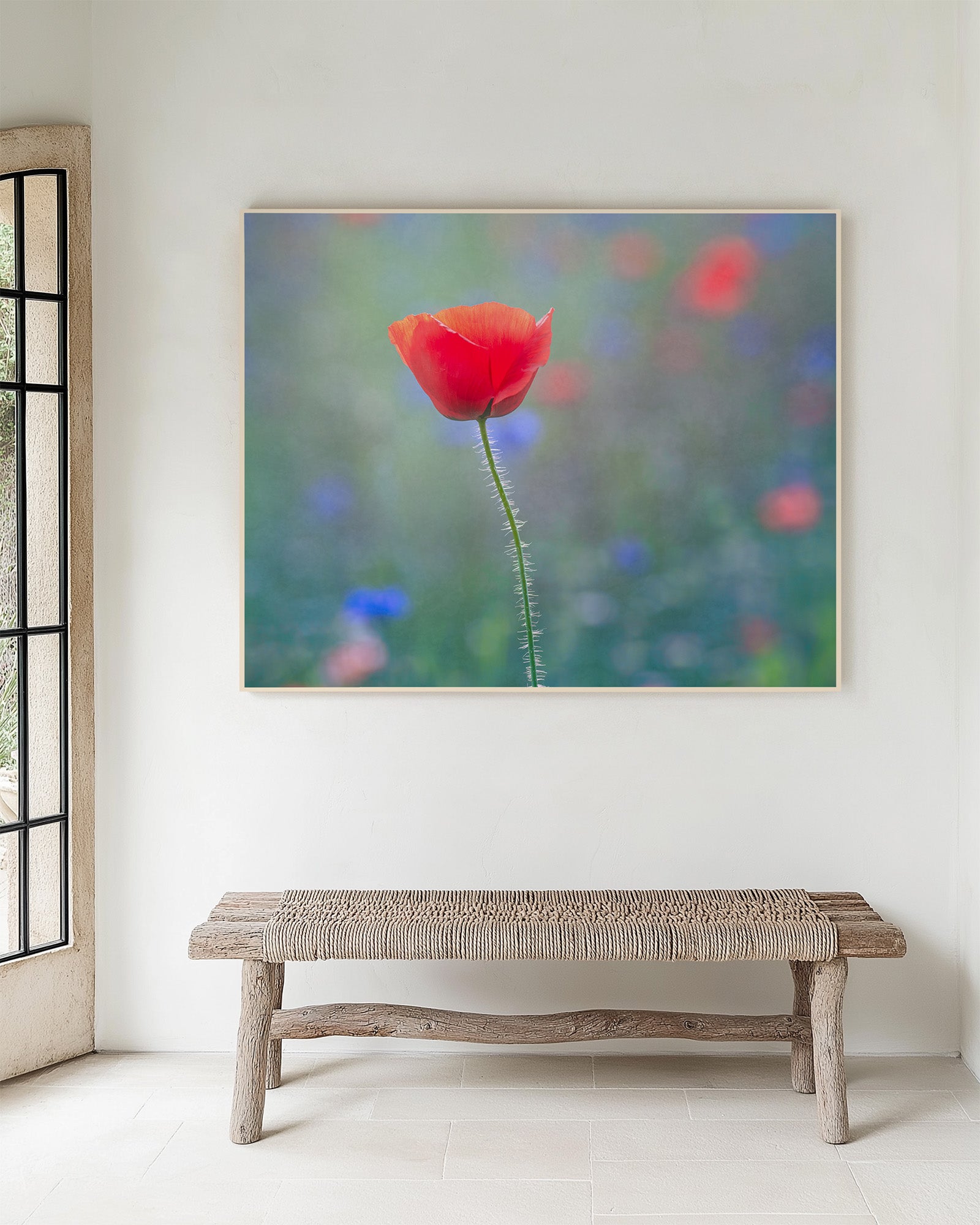 Framed artwork of a single red poppy flower with a blurred multicolored background on a white wall above a wooden bench.
