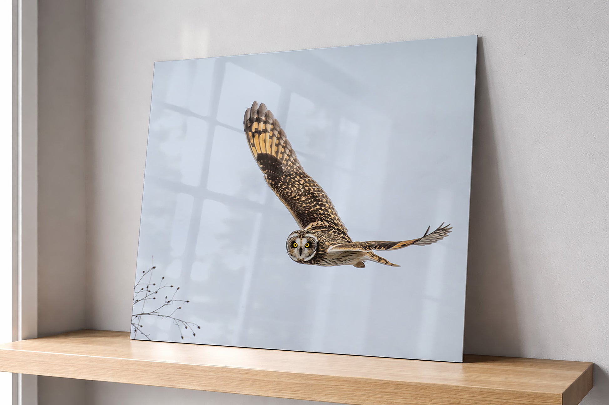 Metal print of a short-eared owl in flight on a wooden shelf against a light wall.