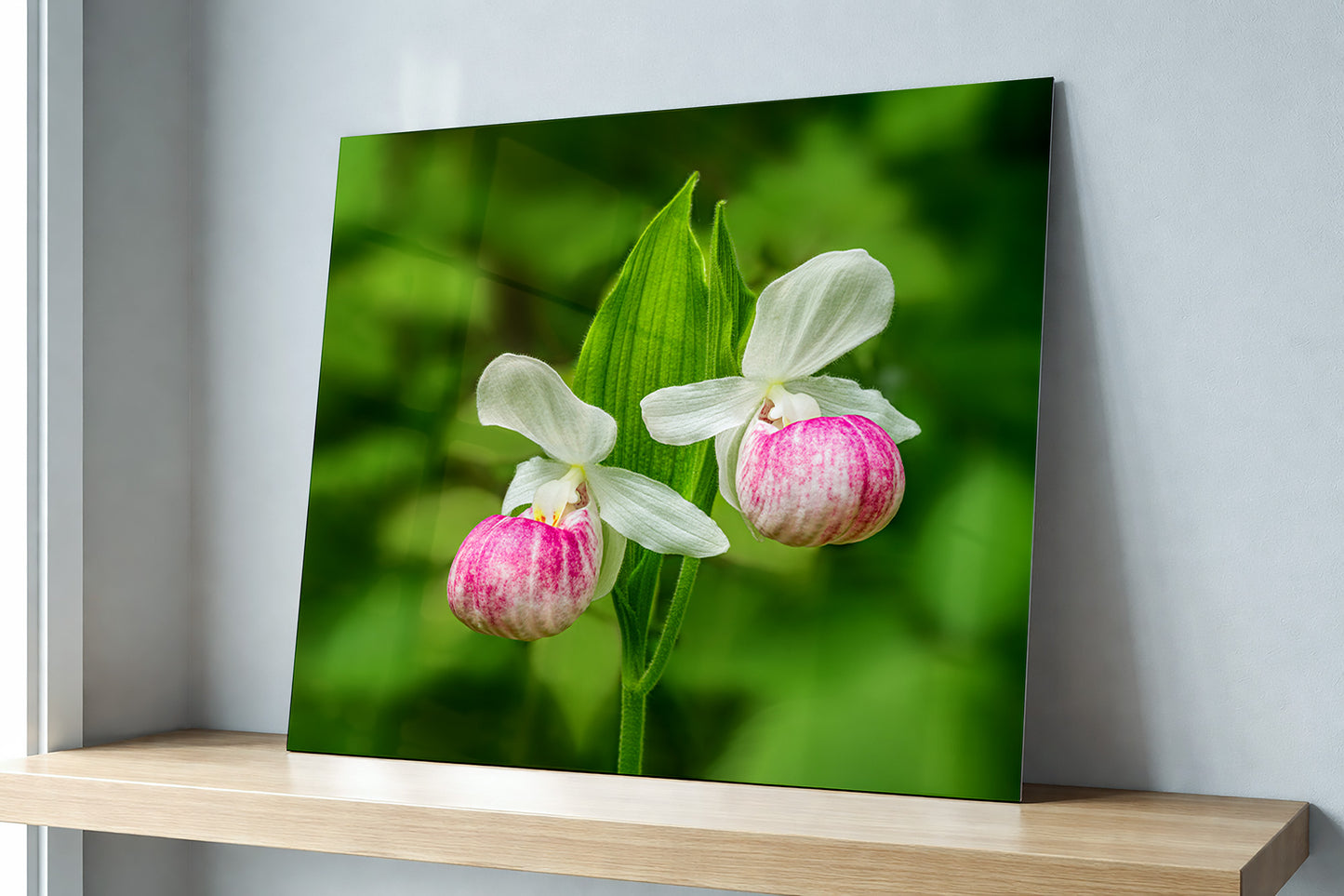 Two Michigan native lady slippers flowers printed on metal on a wood shelf.  