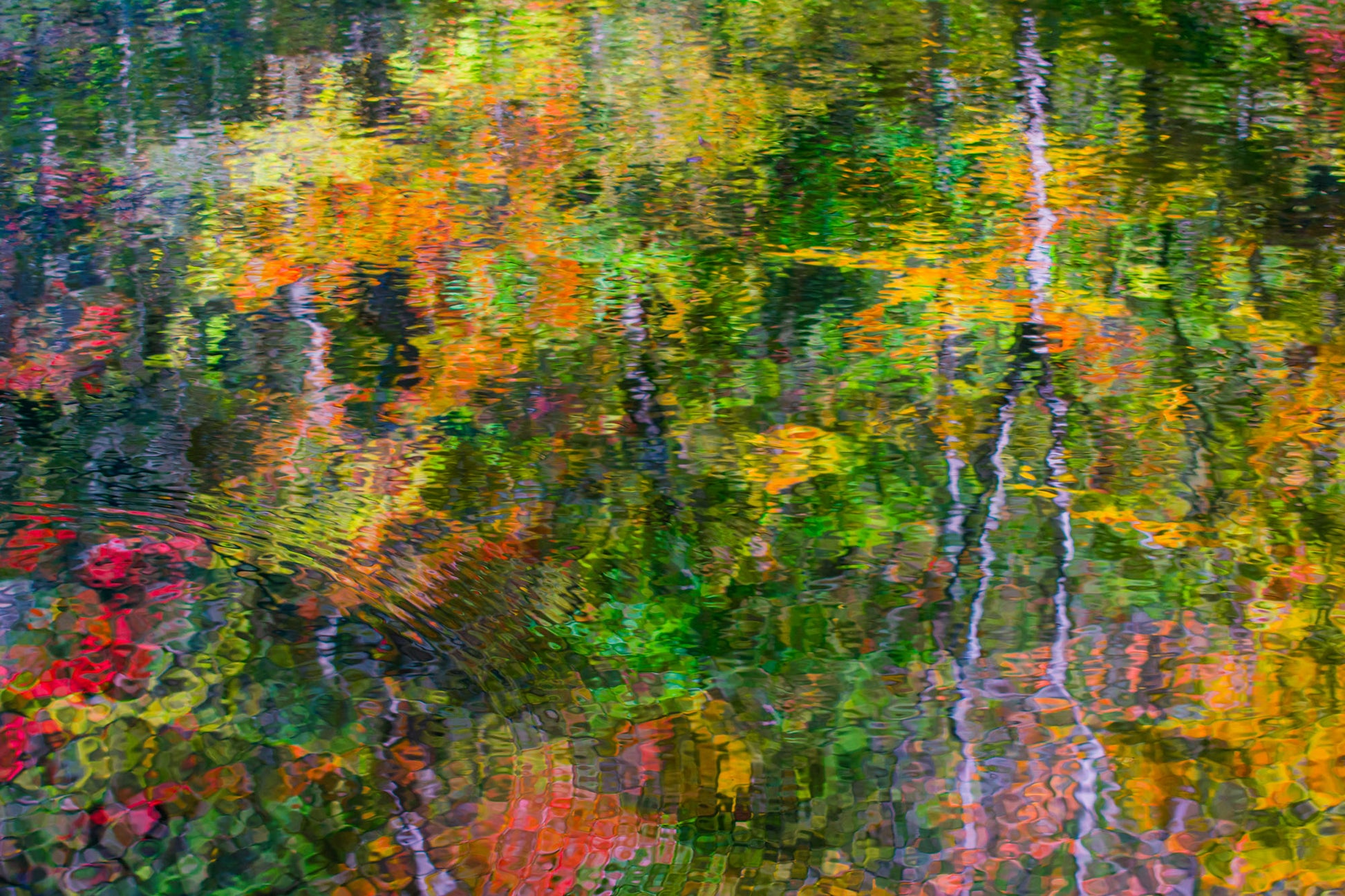 Autumn Fall Reflections in the Smoky Mountains, Abstract Fine Art Print