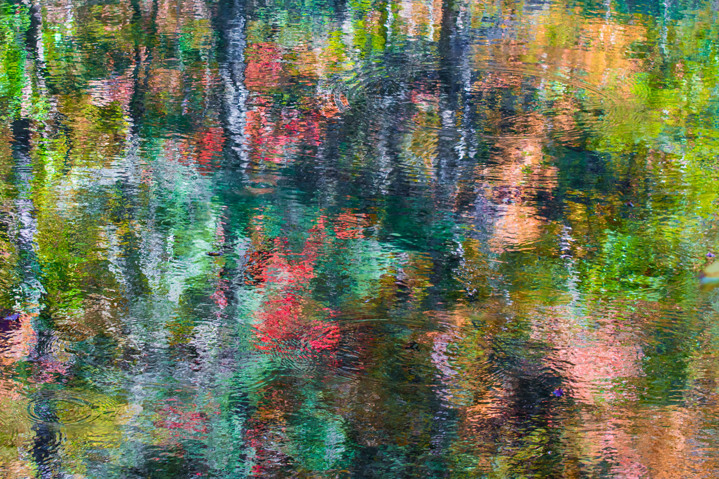 Moody Fall Leaf Abstract Reflections in Smoky Mountains