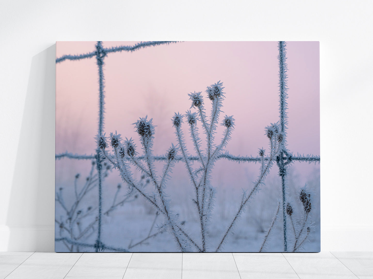 Canvas print of hoar frost covered branches through a barbed wire fence with a pastel sunrise sky.