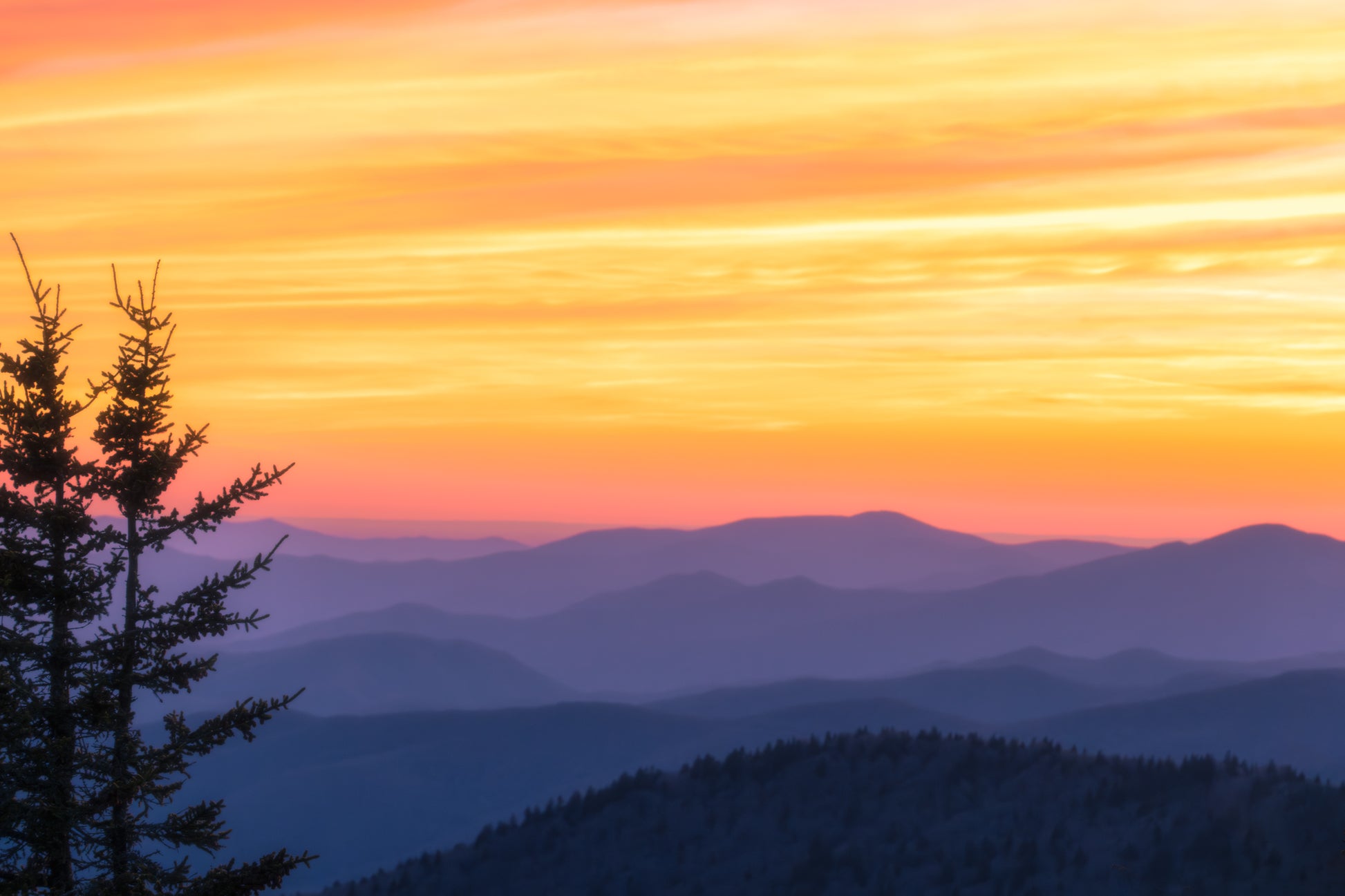 vibrant Sunset over smoky mountains with a tree in the foreground
