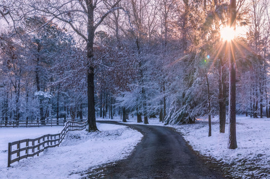 Snowy landscape with a sunlit path and trees in south Arkansas