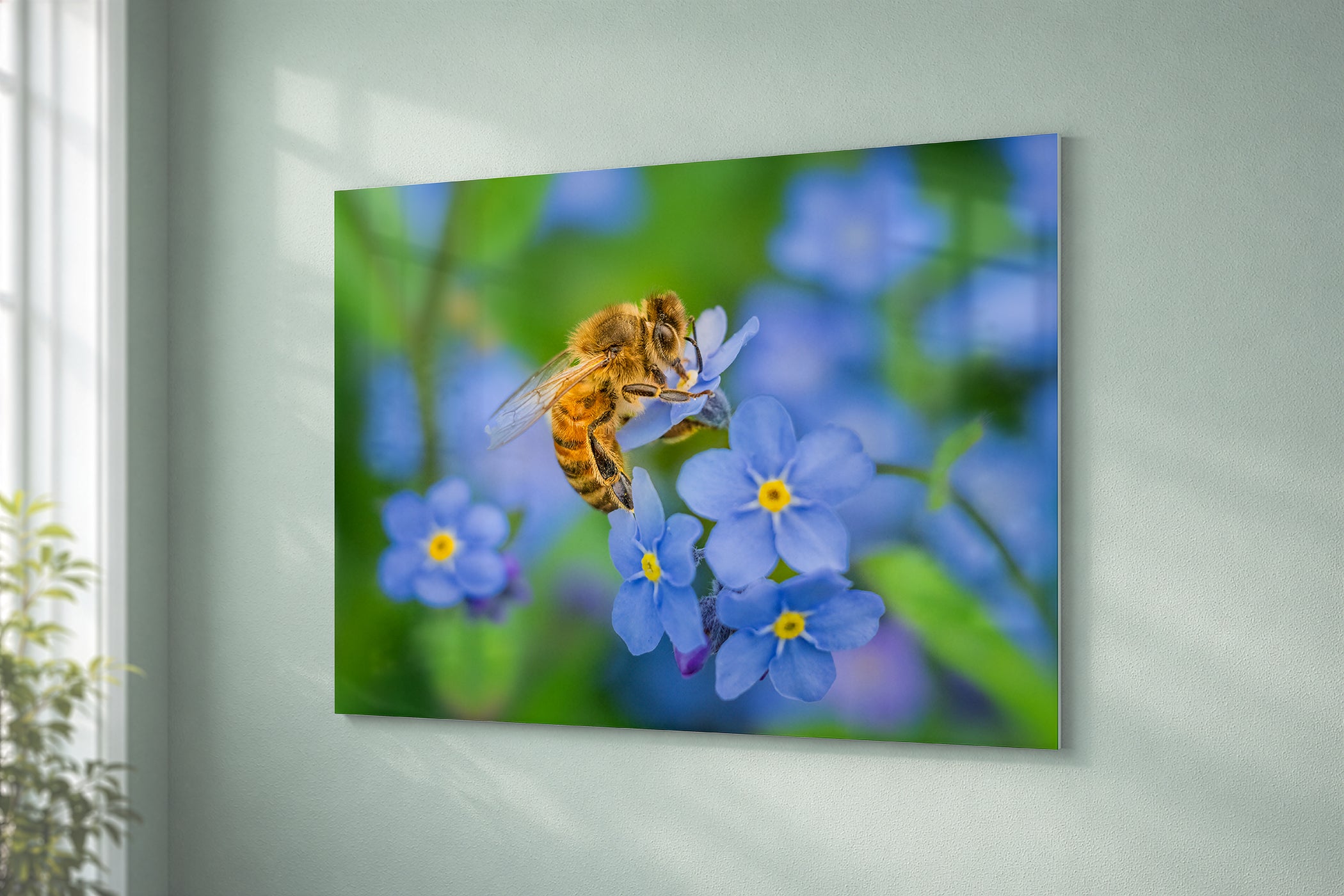 Honeybee on Forget-Me-Not Flowers Fine Art Print | Spring Garden