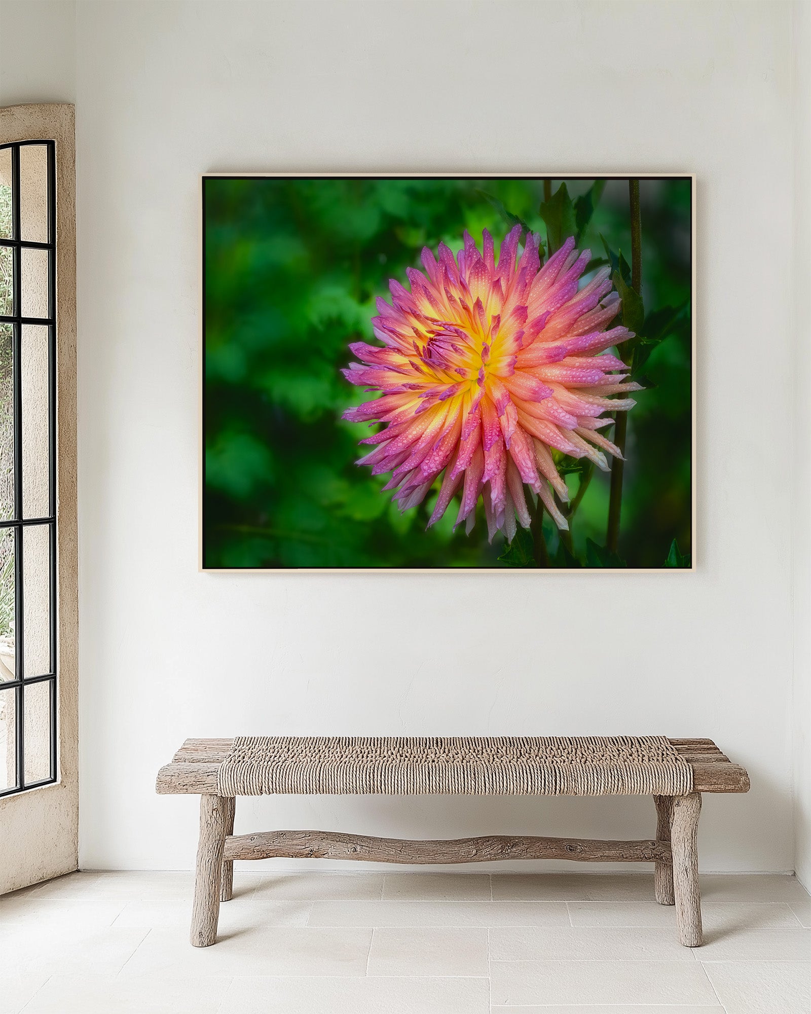 Framed photograph of a peachy pink dahlia with dewdrops with a blurred green background on a wall above a wooden bench.